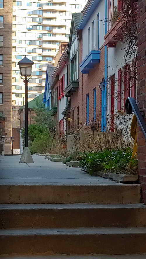 NYC_2020-01-29 09-24-47_CELL_20200129_092447_HDR
